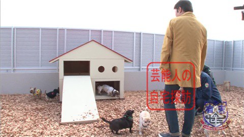 【夢の新居ついに完成】坂上忍、家を建てる233